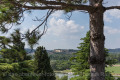 Rathay_Fotoreise_Vaucluse_Avignon_07