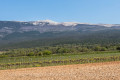 Mit dem Fahrrad um den Mont Ventoux