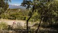 Mit dem Fahrrad um den Mont Ventoux