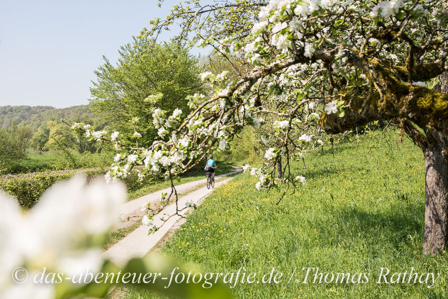 Fotokurs in Sindringen, Hohenlohe