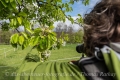 Vordergrund macht Bild gesund!