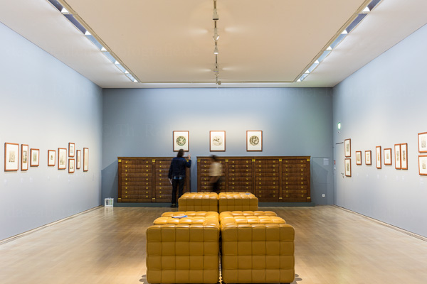 Staatsgalerie Stuttgart / Graphik-Kabinett *Brueghel, Rubens, Ruisdael* Die Graphische Sammlung der Staatsgalerie zeigt ihre SchÃ¤tze, 8. November 2013 bis 23. Februar 2014