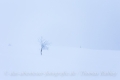 Rathay-Winterfotokurs_SCHWEDEN_002