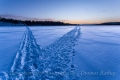 Rathay-Winterfotokurs_SCHWEDEN_003