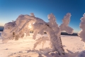 Rathay-Winterfotokurs_SCHWEDEN_008