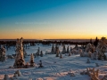 Winter in Schweden - ideal für einen speziellen Fotokurs.