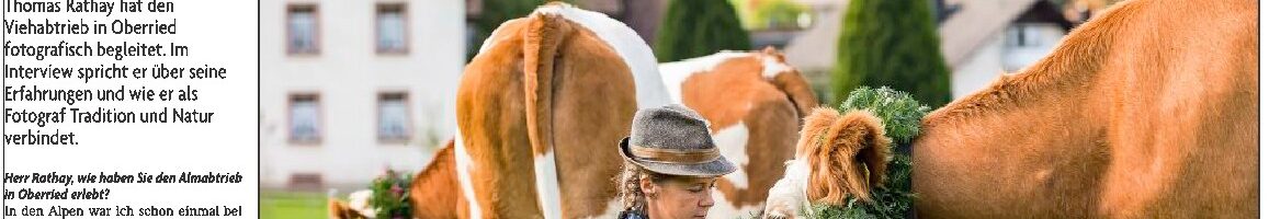 Interview Thomas Rathay in der Badischen Zeitung