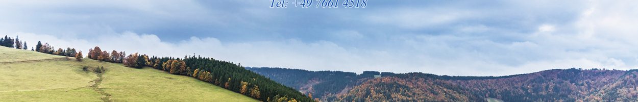 Viehabtrieb im Südschwarzwald