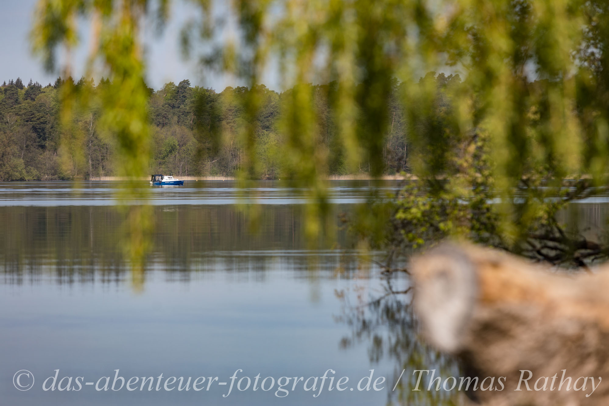 Naturfotografie am Werbellinsee im Barnimer Land in Brandenburg