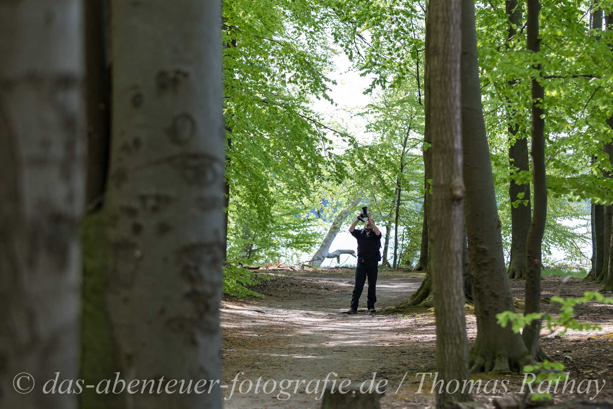 Naturfotografie am Werbellinsee im Barnimer Land in Brandenburg