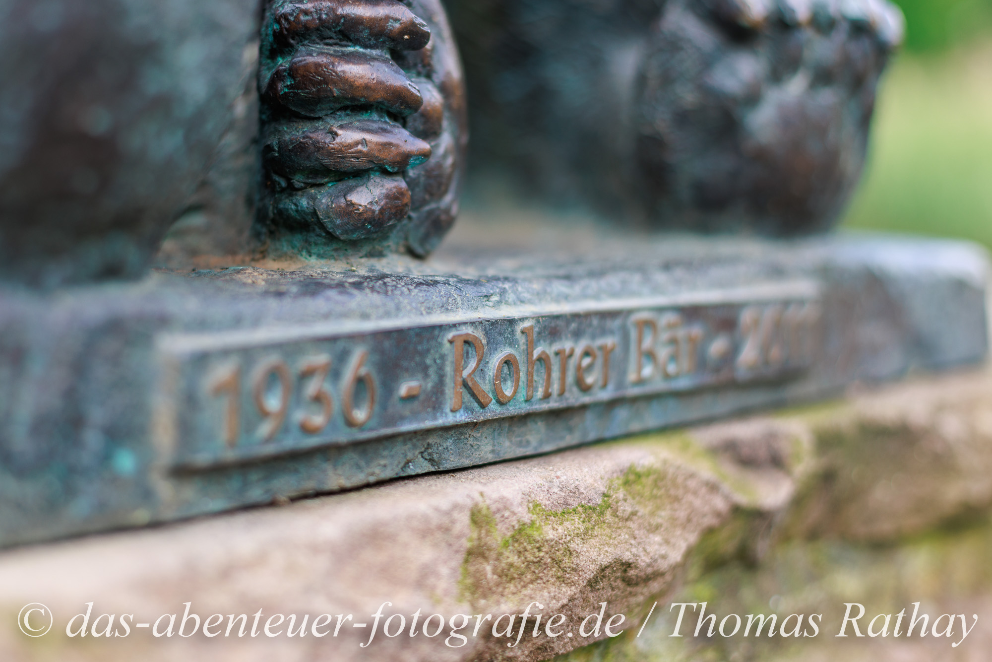 Der Rohrer Bär bewacht den See im Stadtpark