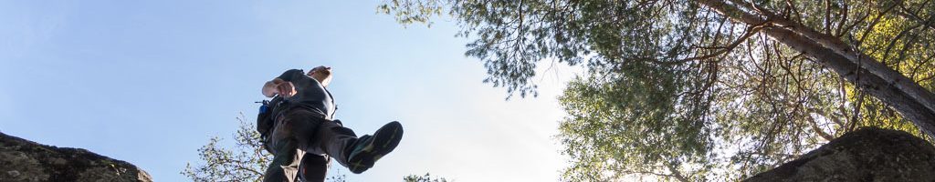 Epischer Wanderer im Schwedischen Wald